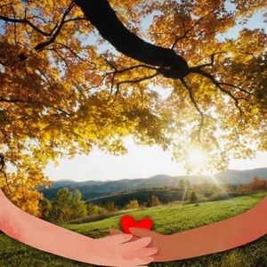 Meet your Posher, Wilson